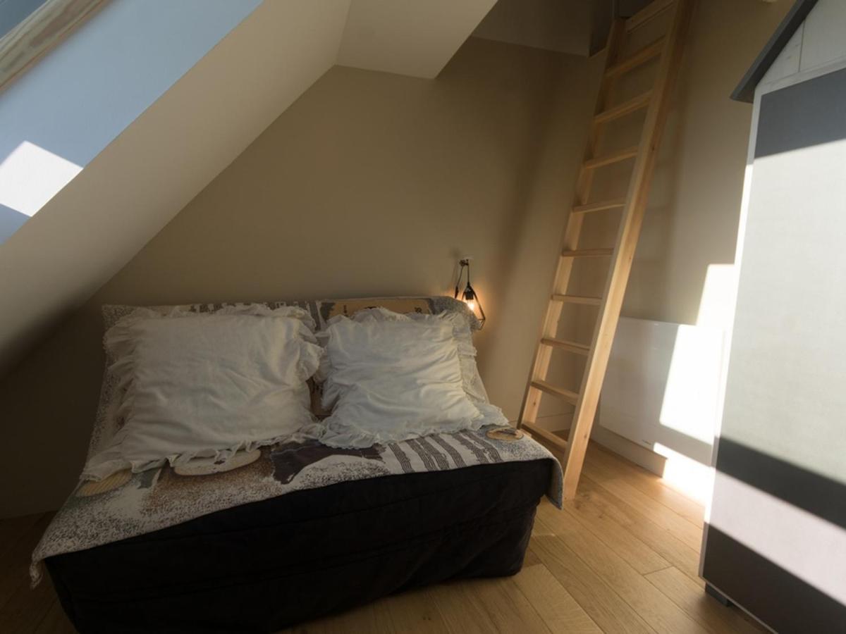 Maison Contemporaine Independante, Proche Plage Et Centre-Ville, 4*, Animaux Acceptes, Avec Wifi - Fr-1-418-124 르팔레이 외부 사진